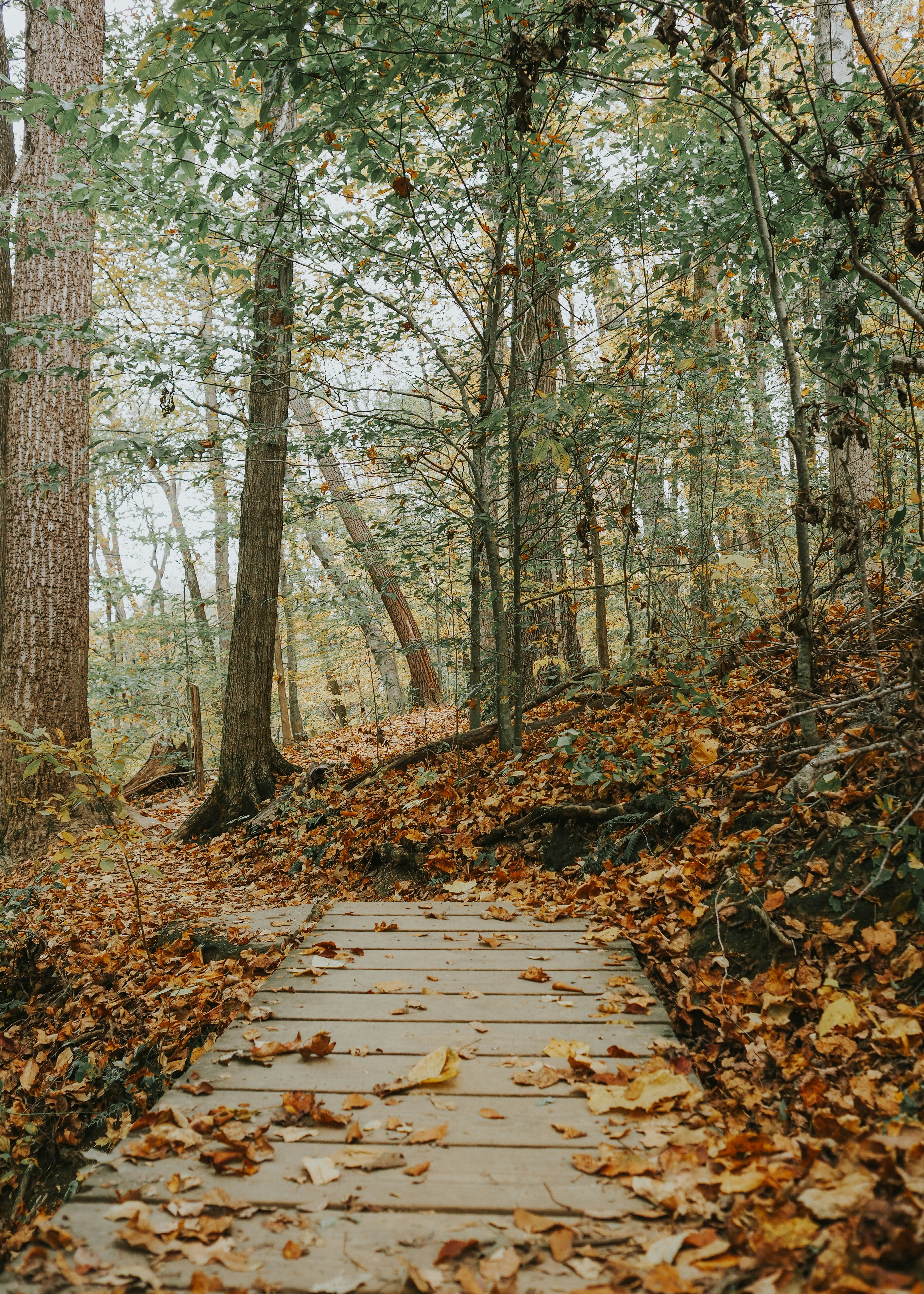 Photo by fieldworkframes