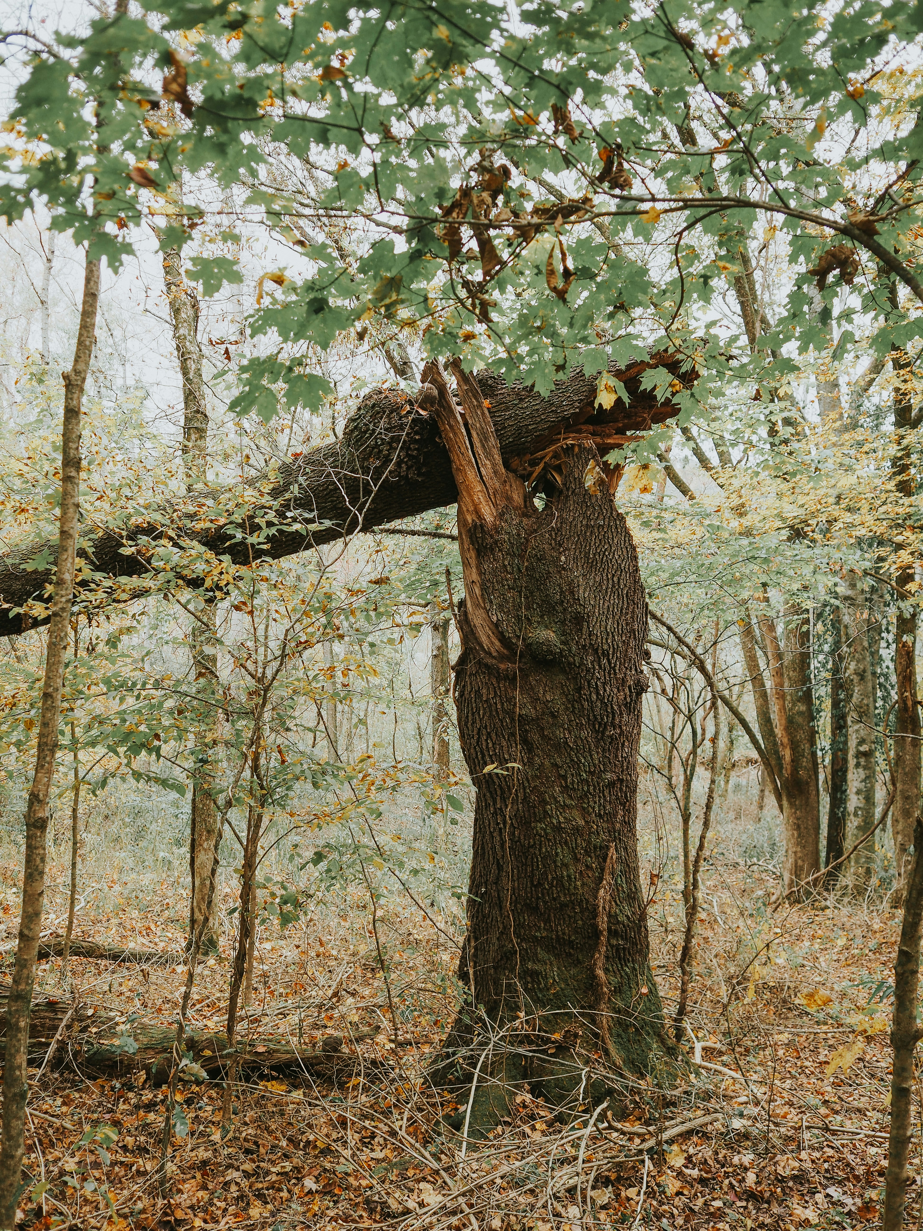 Photo by fieldworkframes