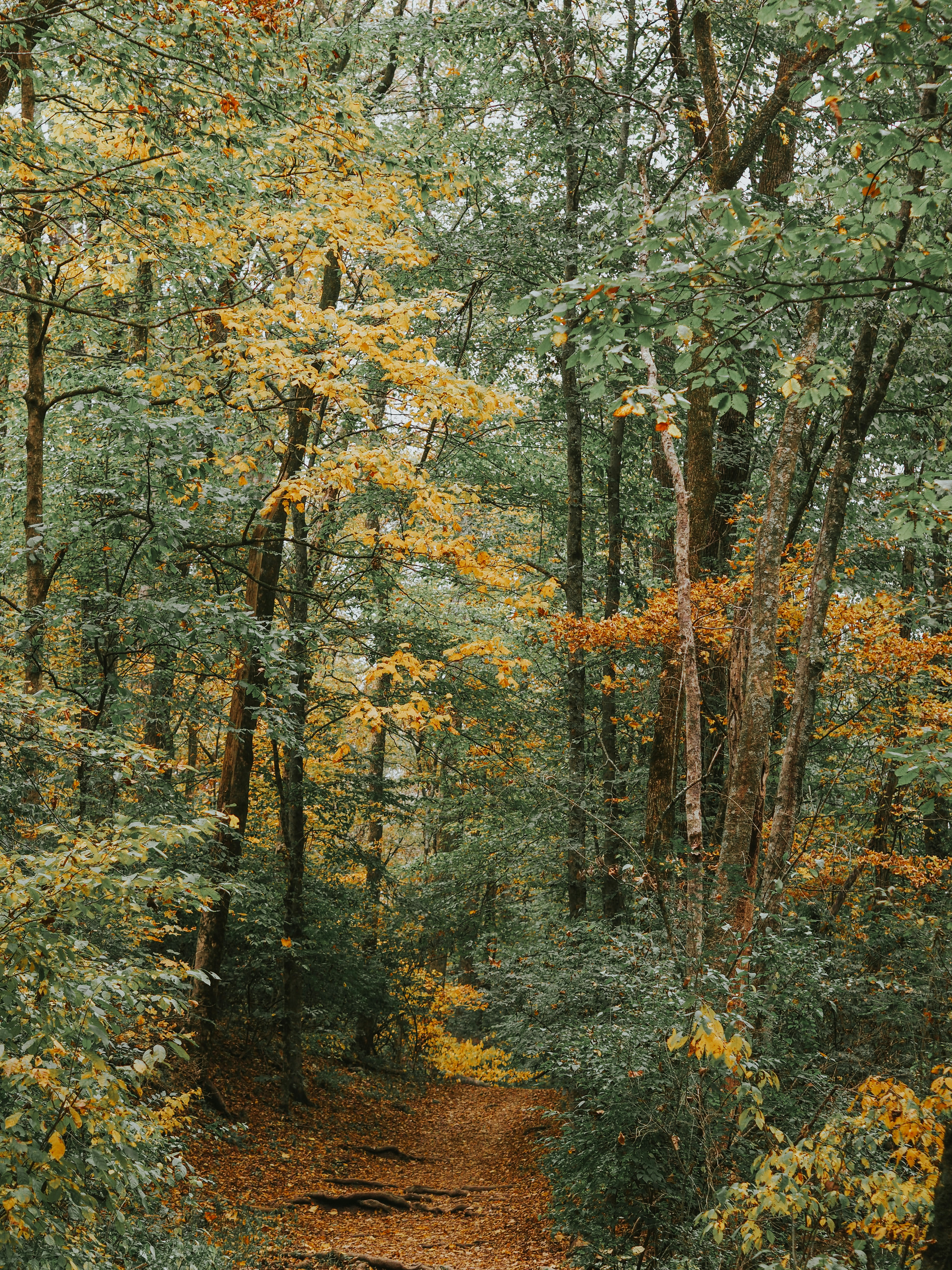 Photo by fieldworkframes