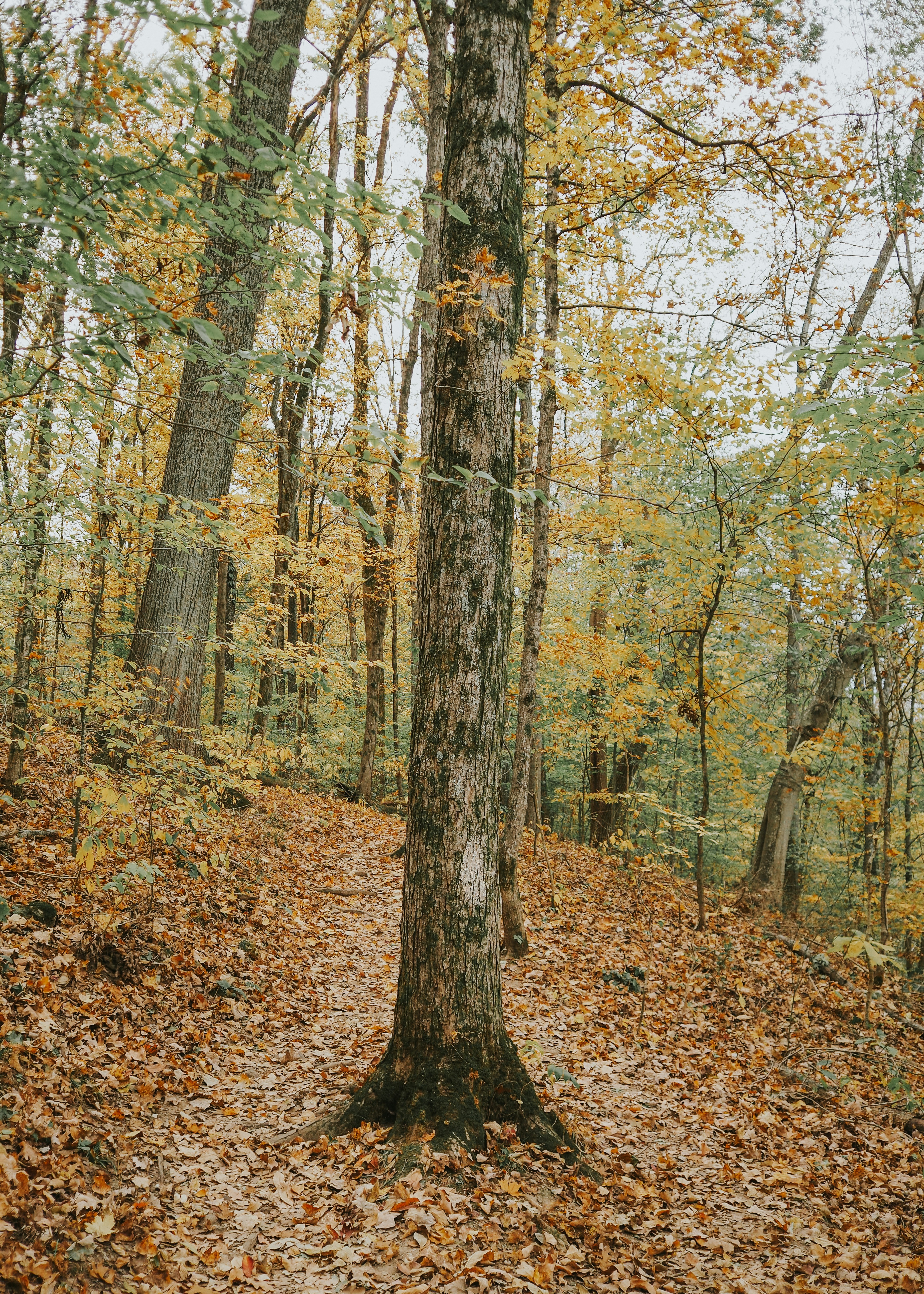 Photo by fieldworkframes