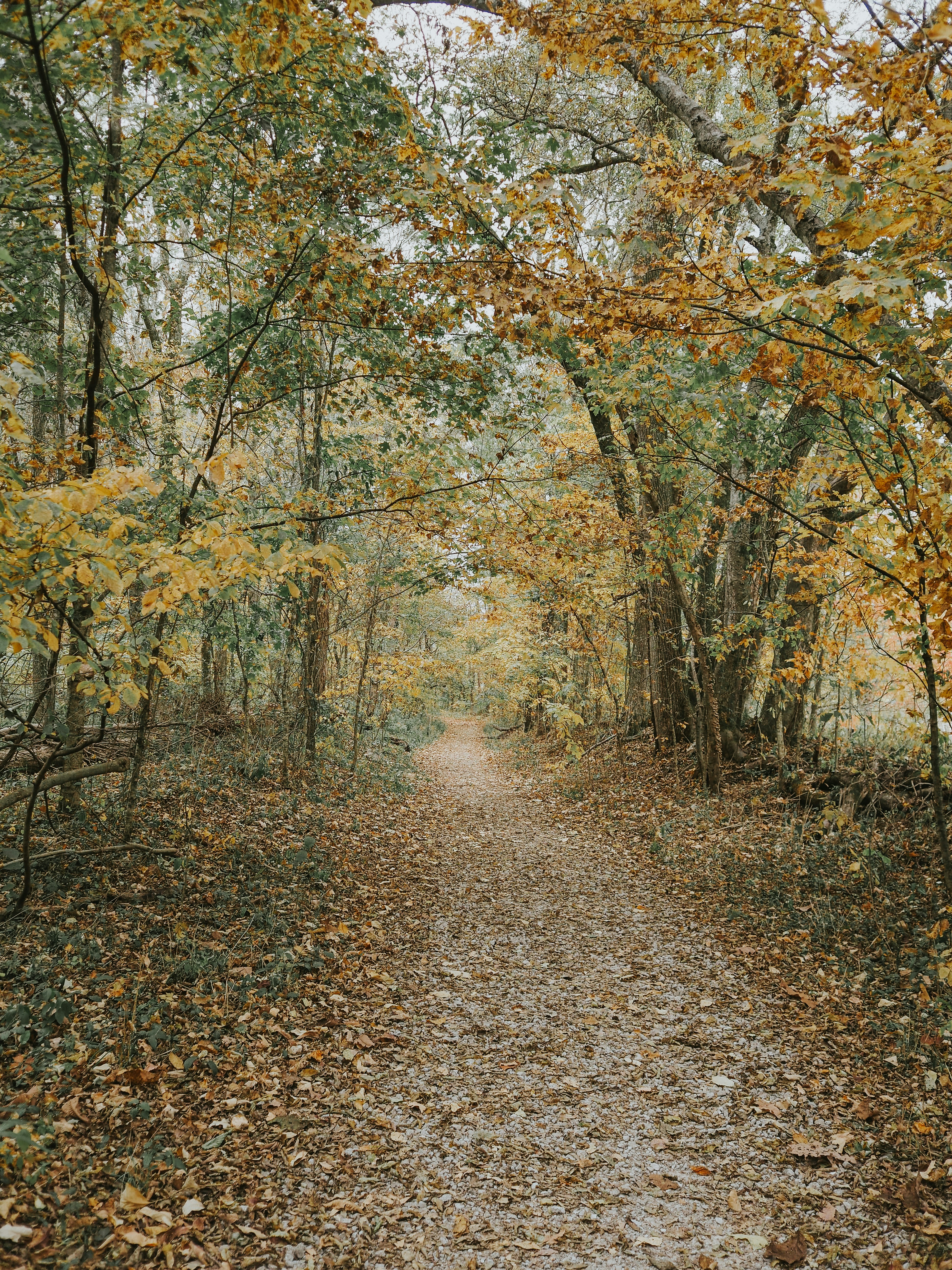 Photo by fieldworkframes