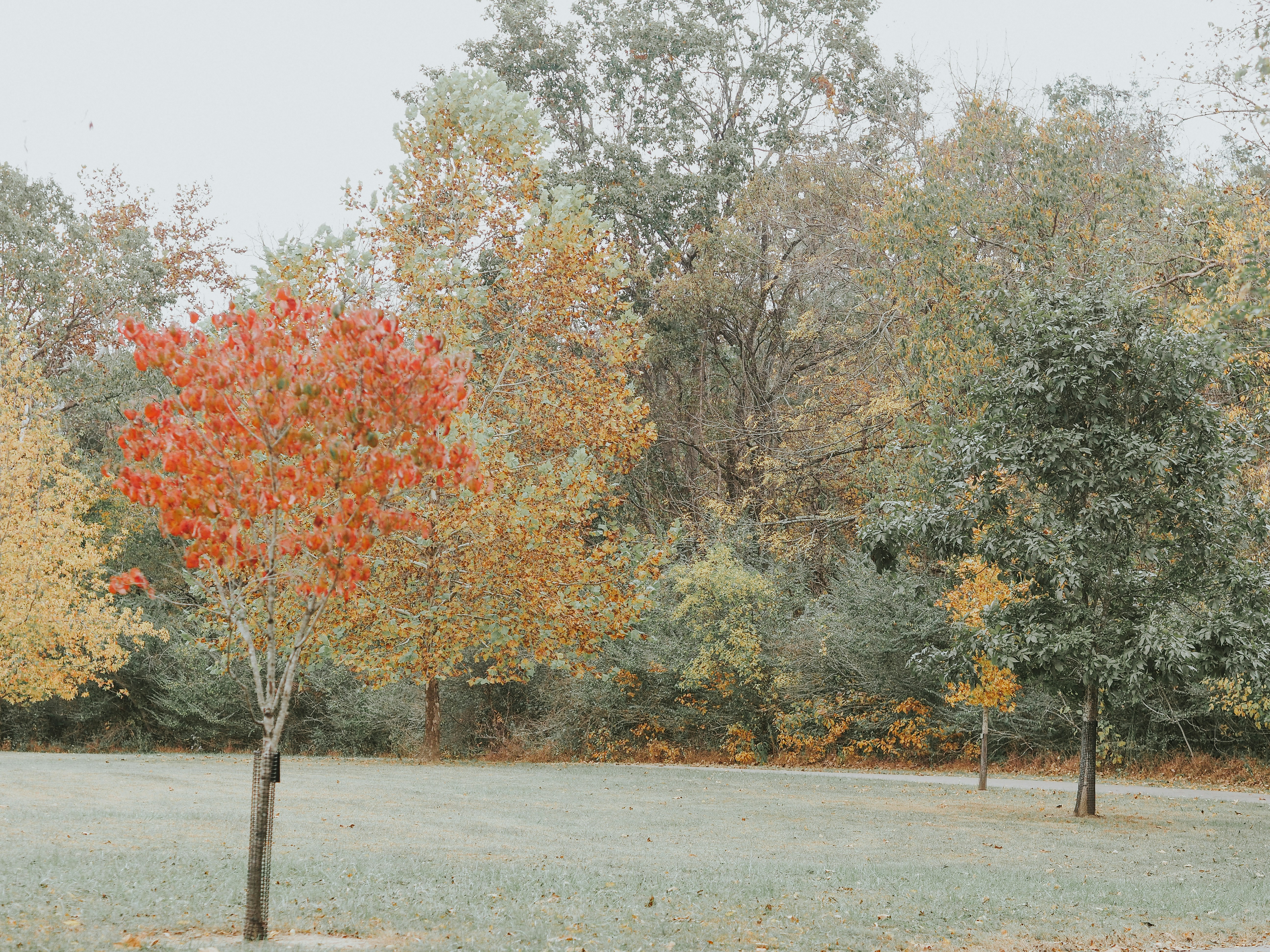 Photo by fieldworkframes