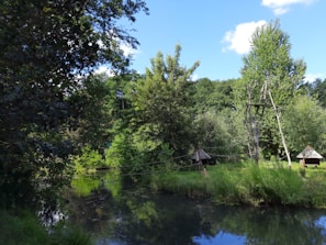 A serene landscape featuring a small pond surrounded by lush greenery and tall trees. Two rustic thatched-roof huts are visible on the grassy bank, connected by wooden poles and ropes. The water reflects the trees and sky above, creating a peaceful and idyllic setting.