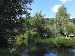 A serene landscape featuring a small pond surrounded by lush greenery and tall trees. Two rustic thatched-roof huts are visible on the grassy bank, connected by wooden poles and ropes. The water reflects the trees and sky above, creating a peaceful and idyllic setting.