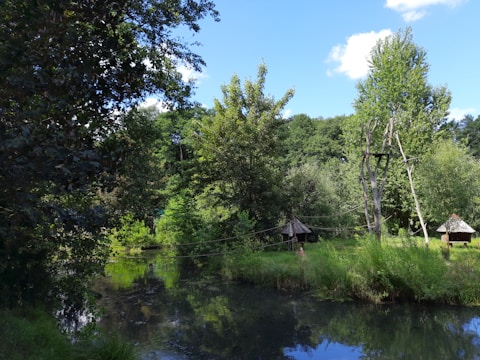 A serene landscape featuring a small pond surrounded by lush greenery and tall trees. Two rustic thatched-roof huts are visible on the grassy bank, connected by wooden poles and ropes. The water reflects the trees and sky above, creating a peaceful and idyllic setting.