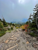 A rugged mountain trail descends through a rocky landscape, flanked by evergreen trees and vibrant autumn foliage. Mist and clouds obscure the distant peaks, creating a serene yet mysterious atmosphere. The path is uneven and lined with timber steps for navigation.