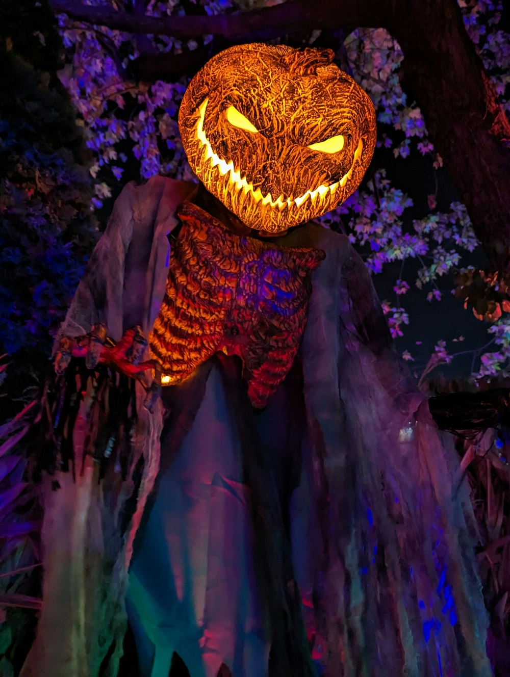 a lighted pumpkin sitting on top of a tree