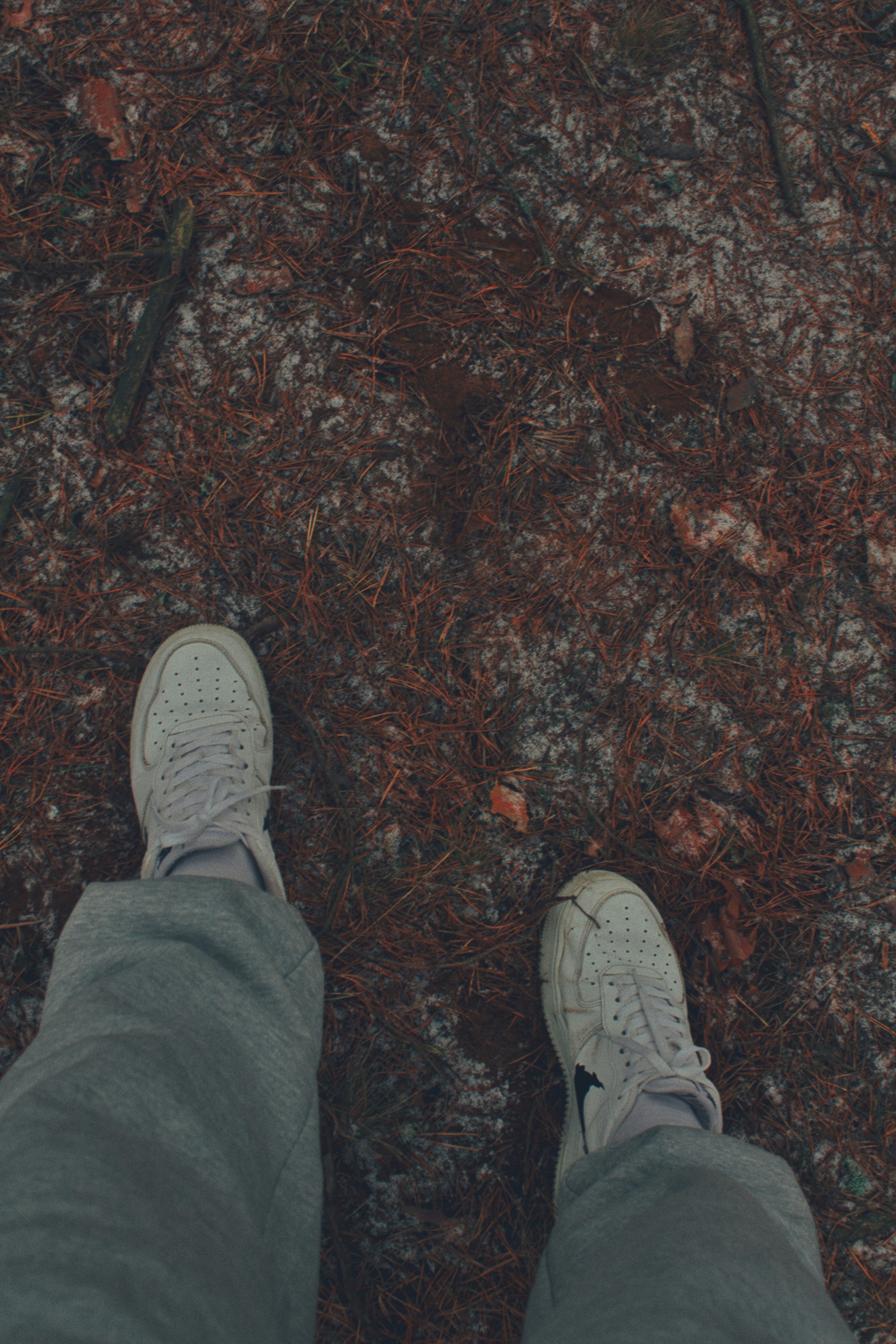 Photo by maximyuryshev