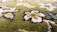 A close-up view of a green carpet with intricate floral patterns. The design includes flowers and leaves in shades of white, blue, and brown, outlined in dark blue. The texture of the carpet is visible, suggesting a soft, plush surface.