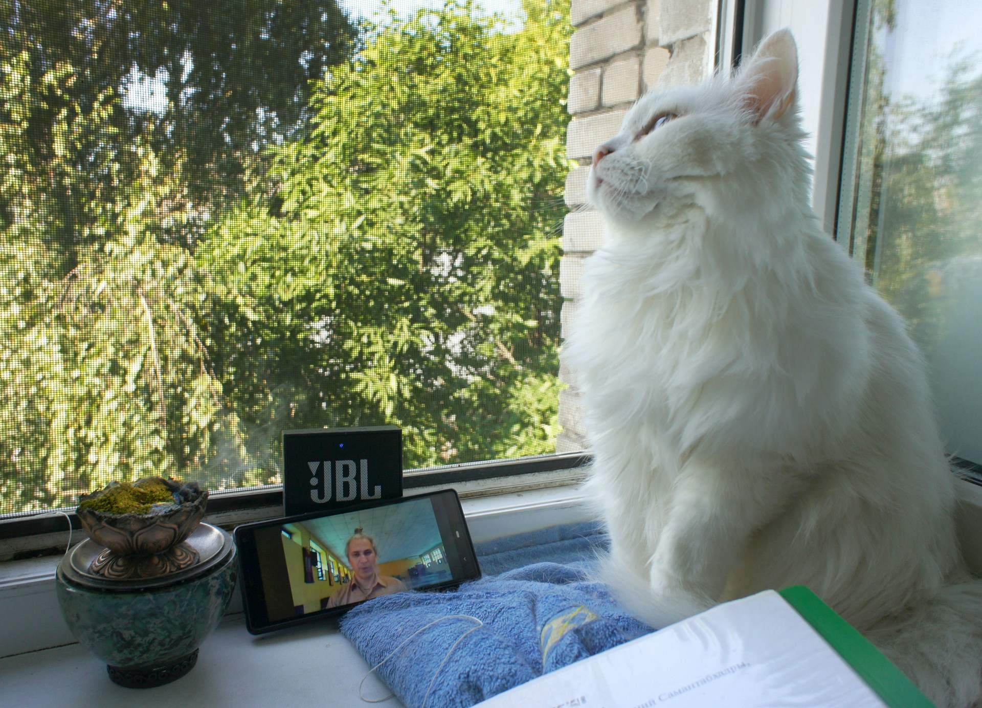 woman wearing yellow long-sleeved dress under white clouds and blue sky during daytime