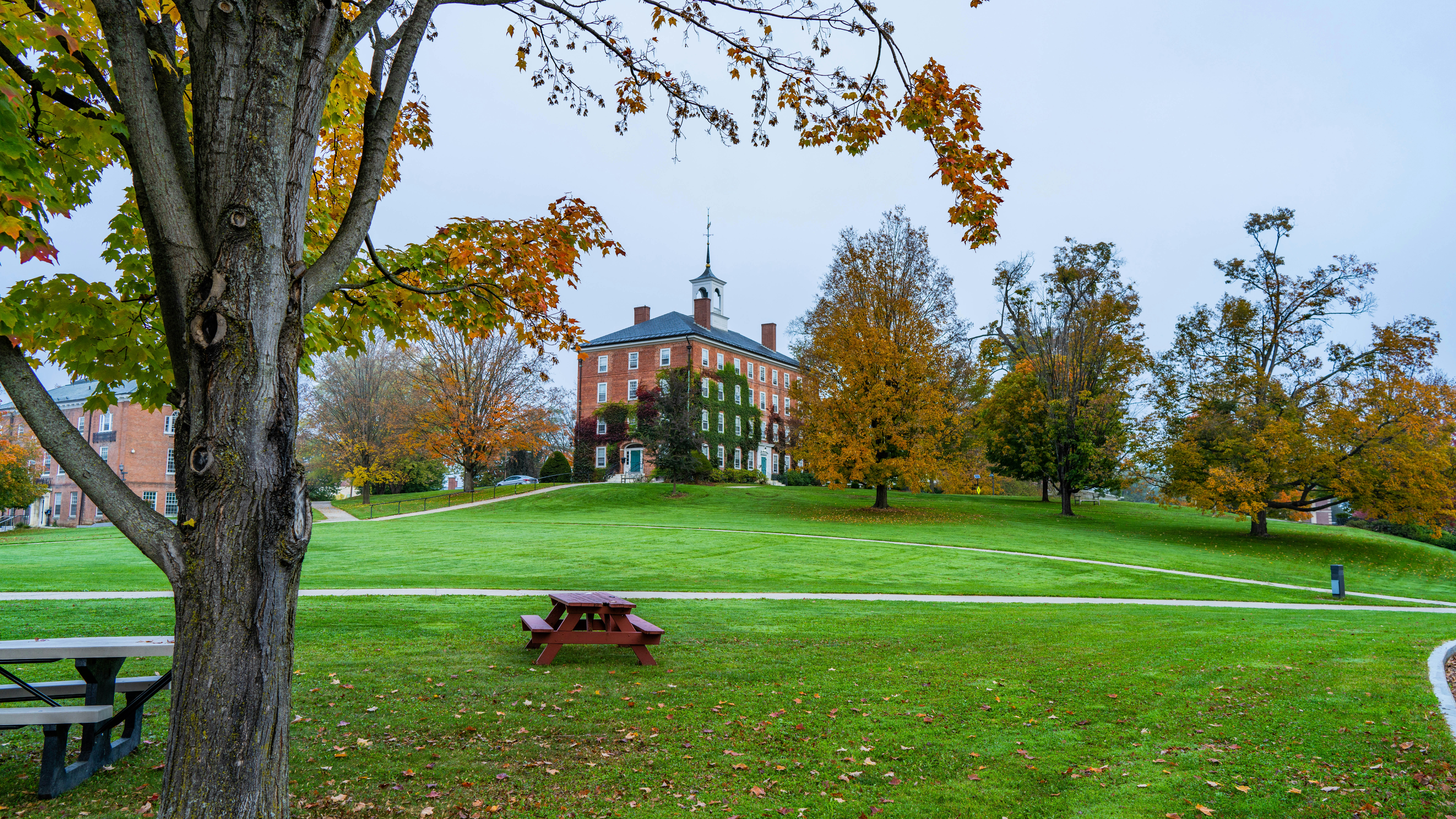 Williams College