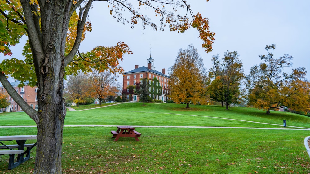 a park with a bench and a building in the background