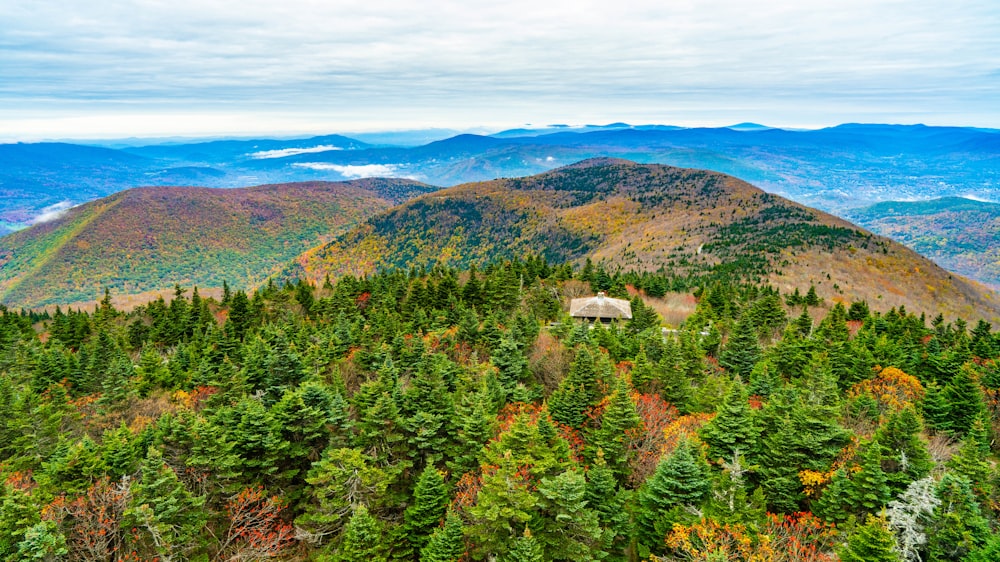 a cabin in the middle of a forest with mountains in the background