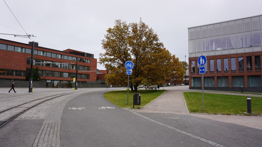 University of Europe for Applied Sciences (UE)
