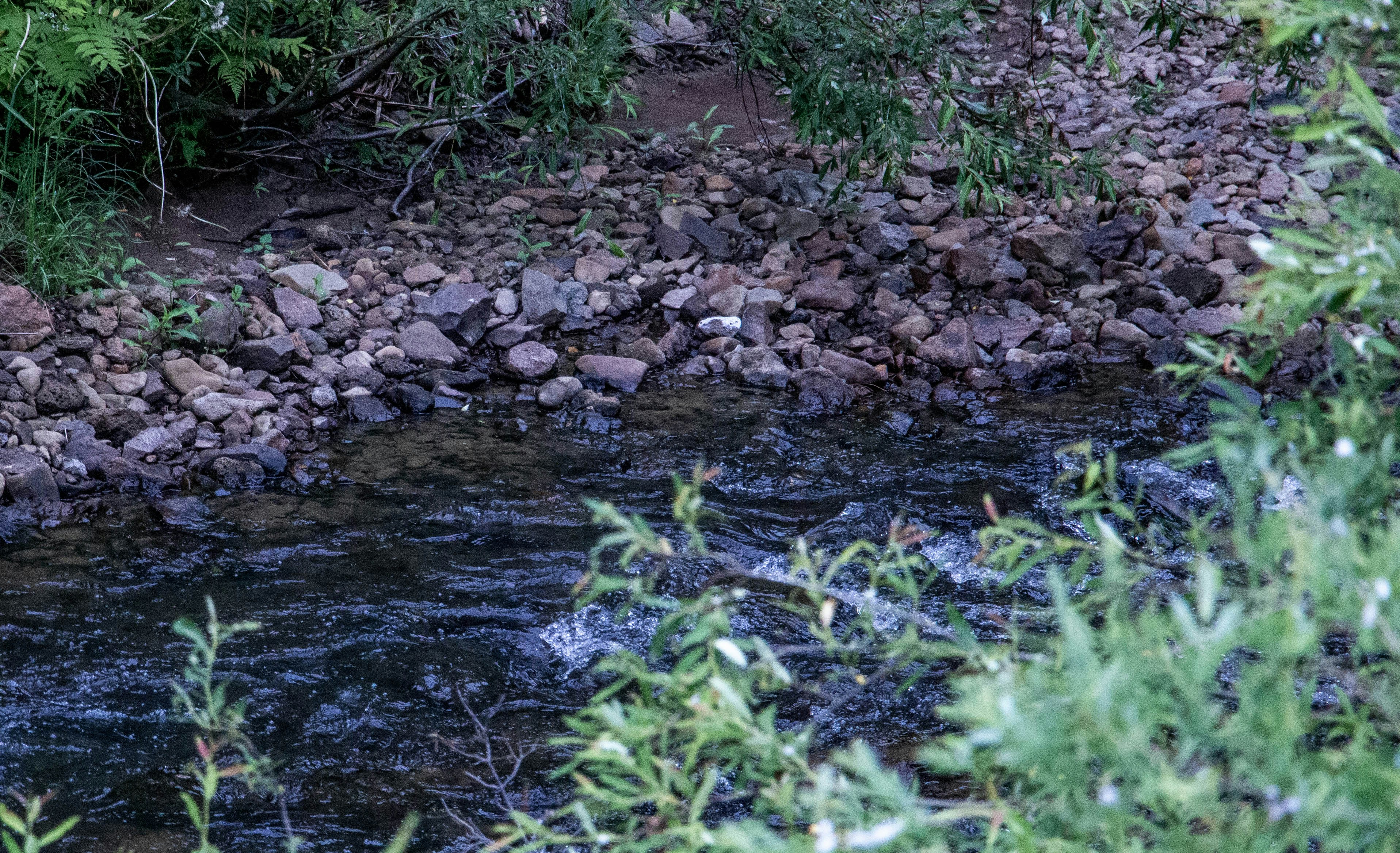 Photo by maro_of_sengu