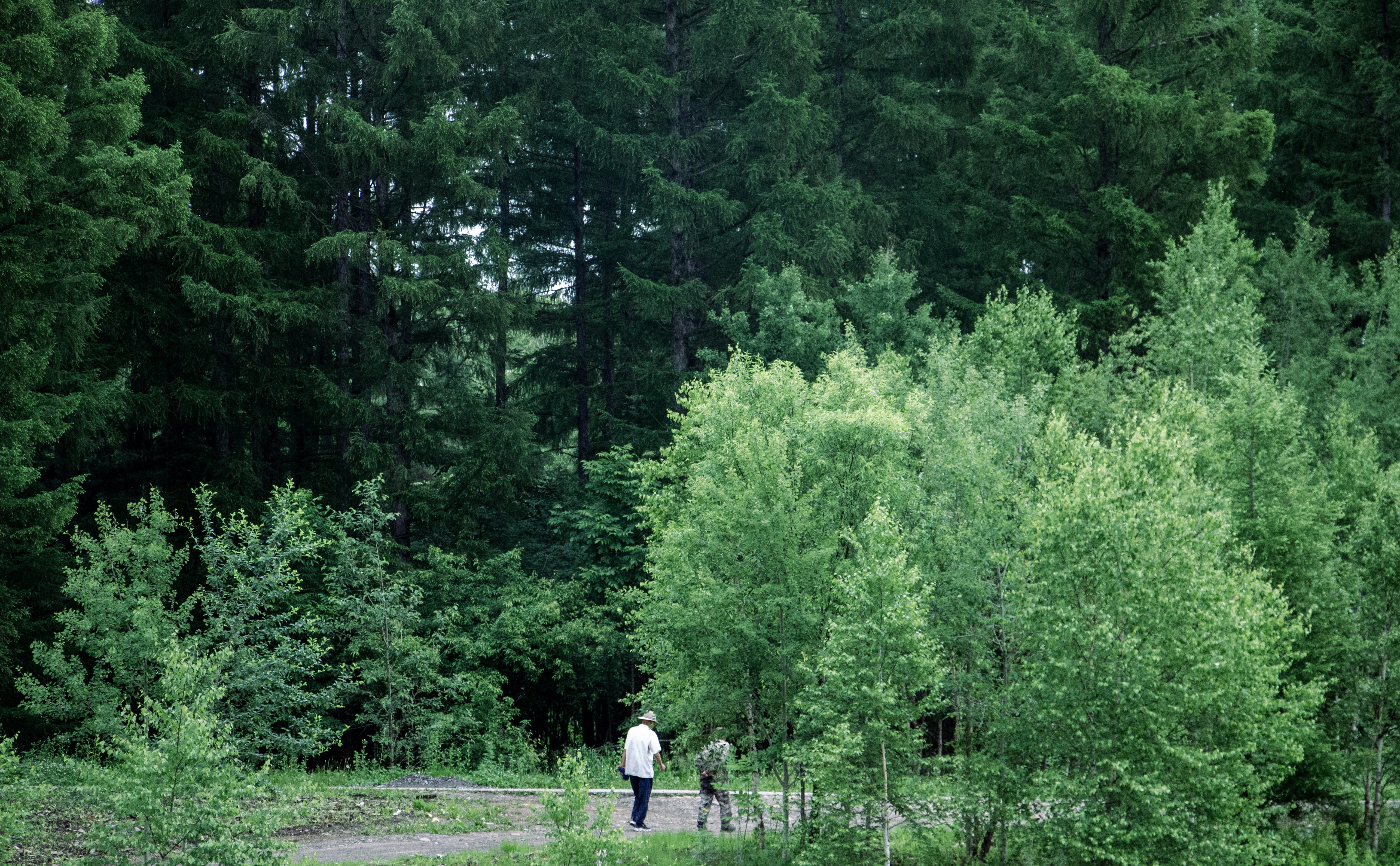 Photo by maro_of_sengu