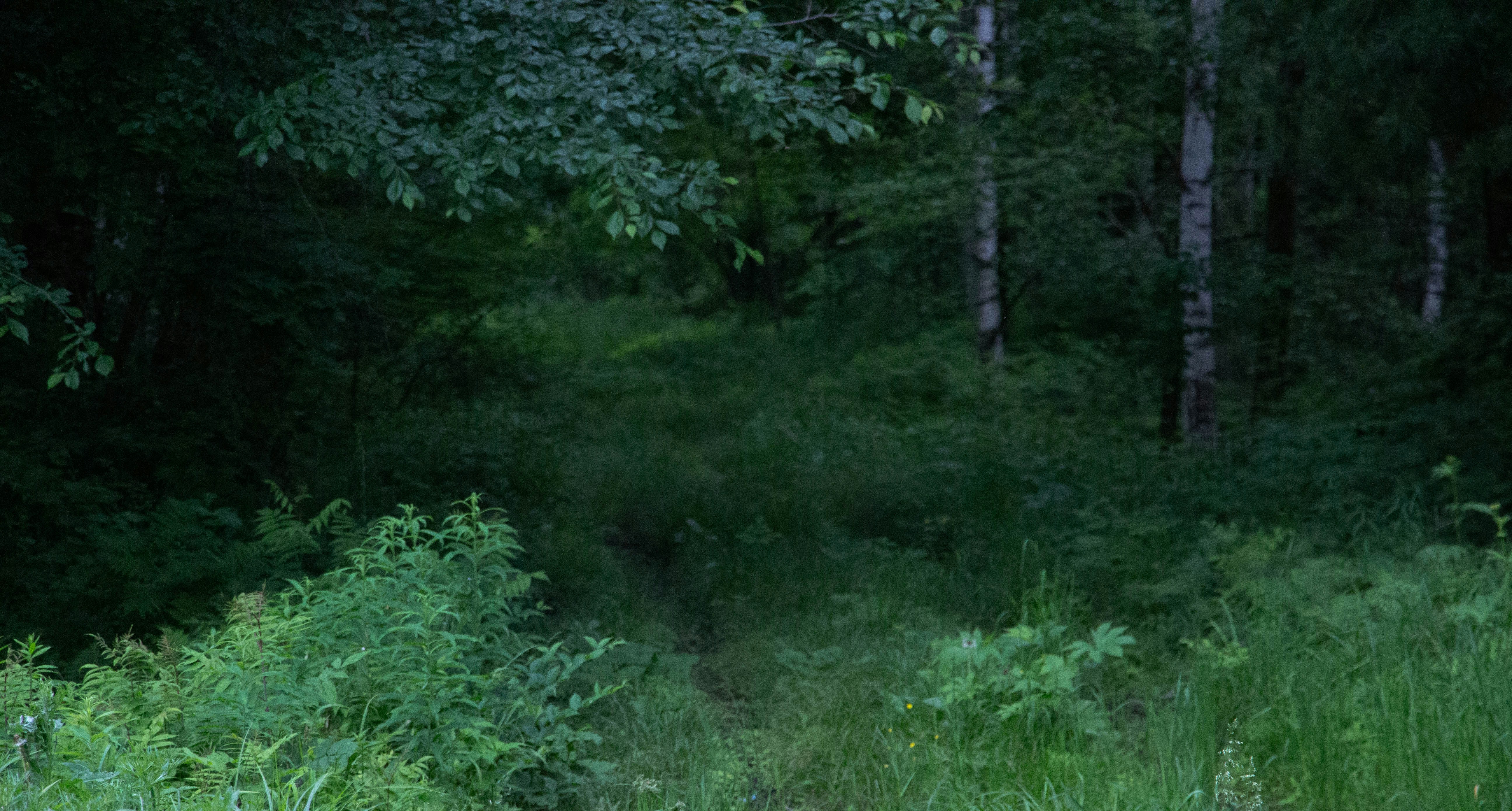 Photo by maro_of_sengu