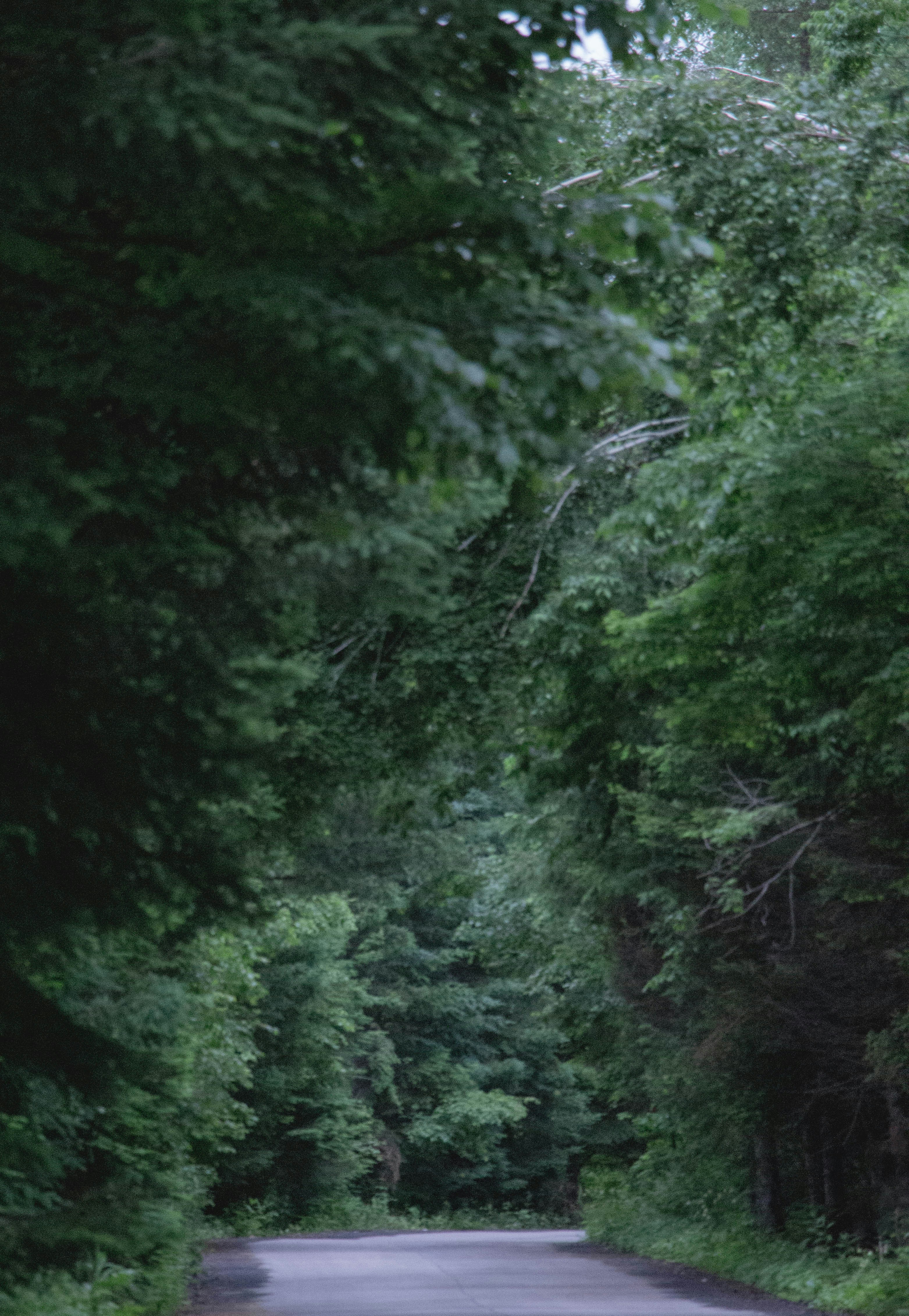 Photo by maro_of_sengu