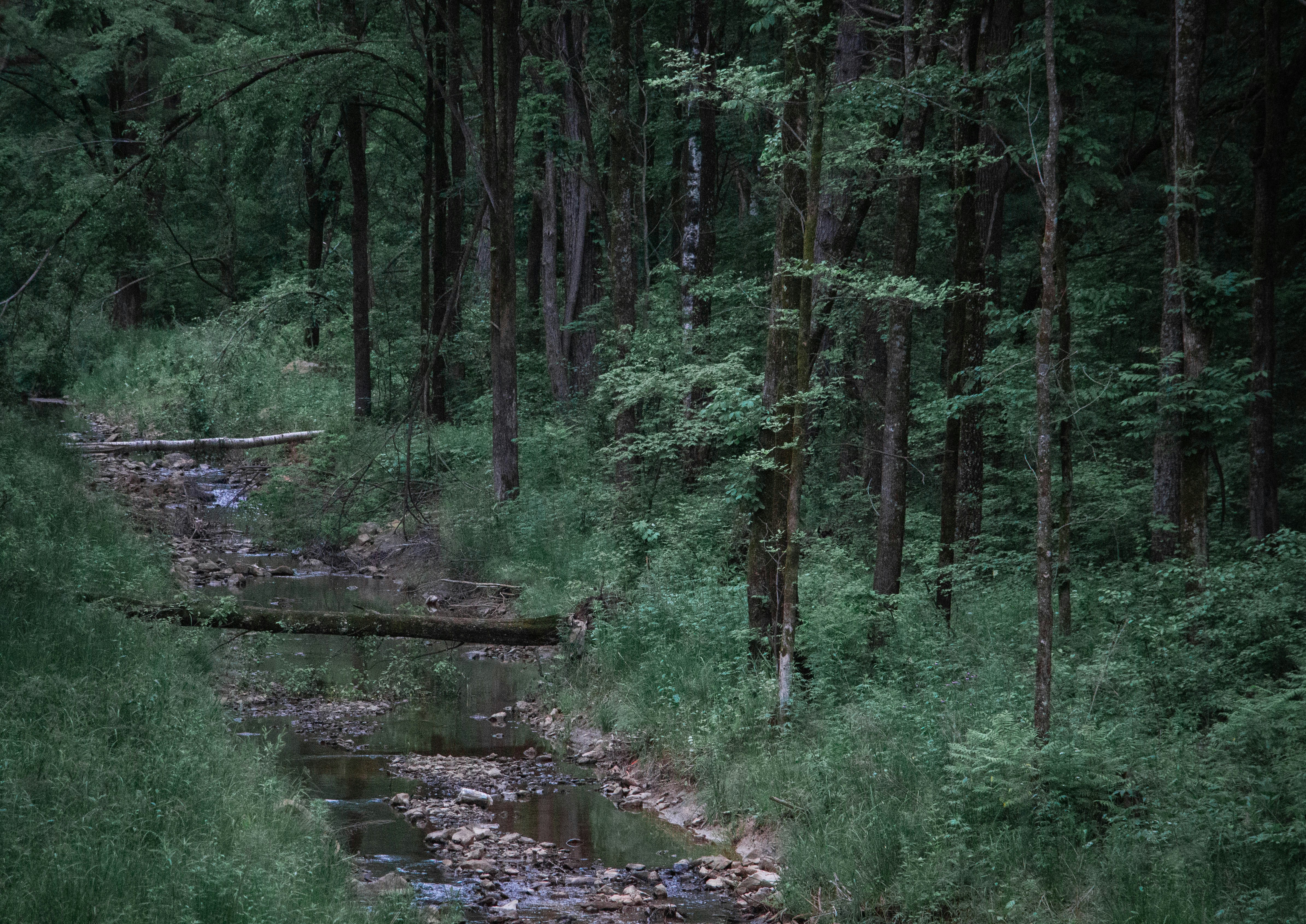 Photo by maro_of_sengu