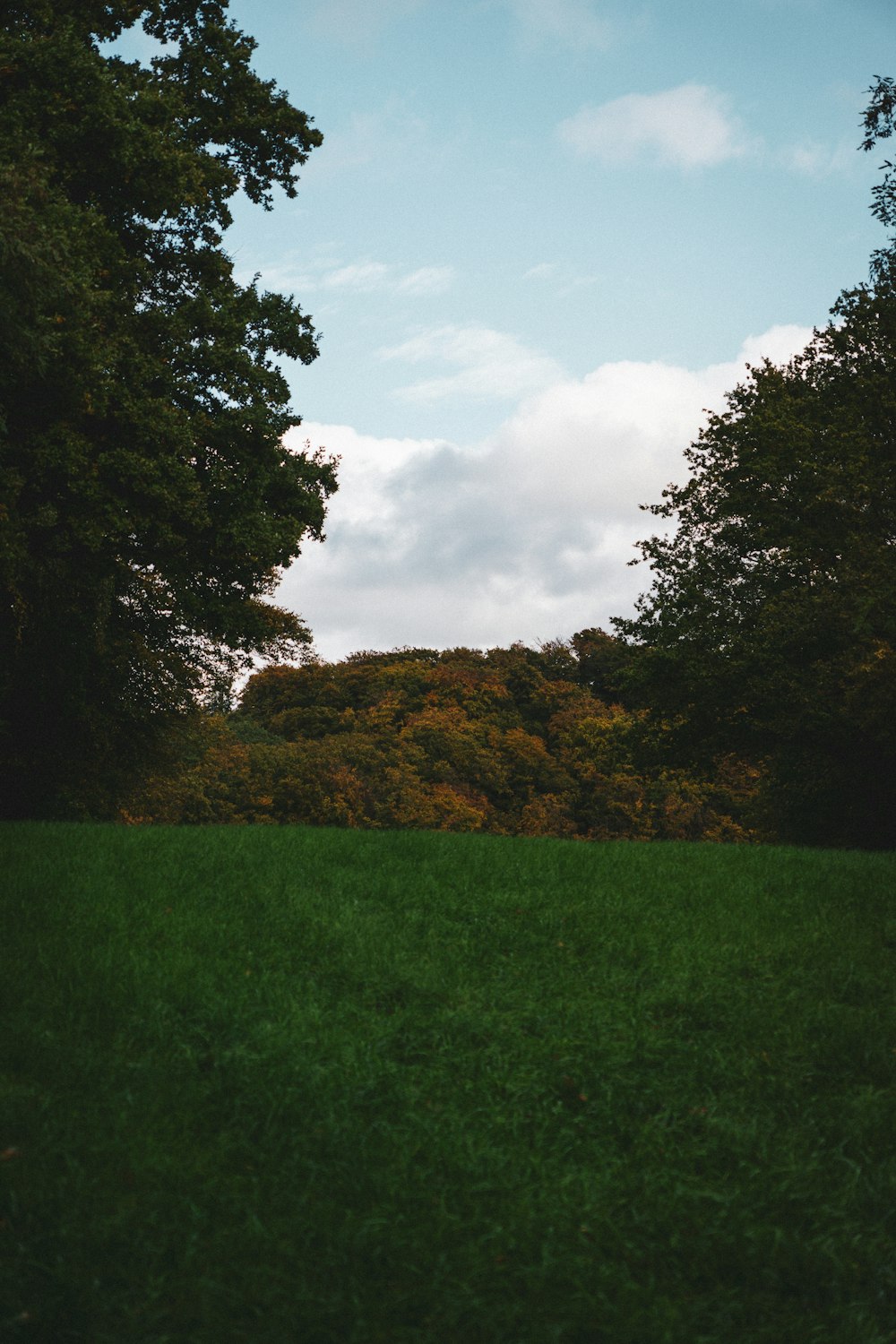 a grassy field with trees in the background