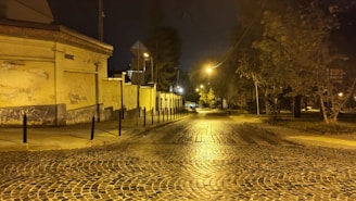A quiet urban corner at dusk, shadows stretching over cracked pavement and faded graffiti.