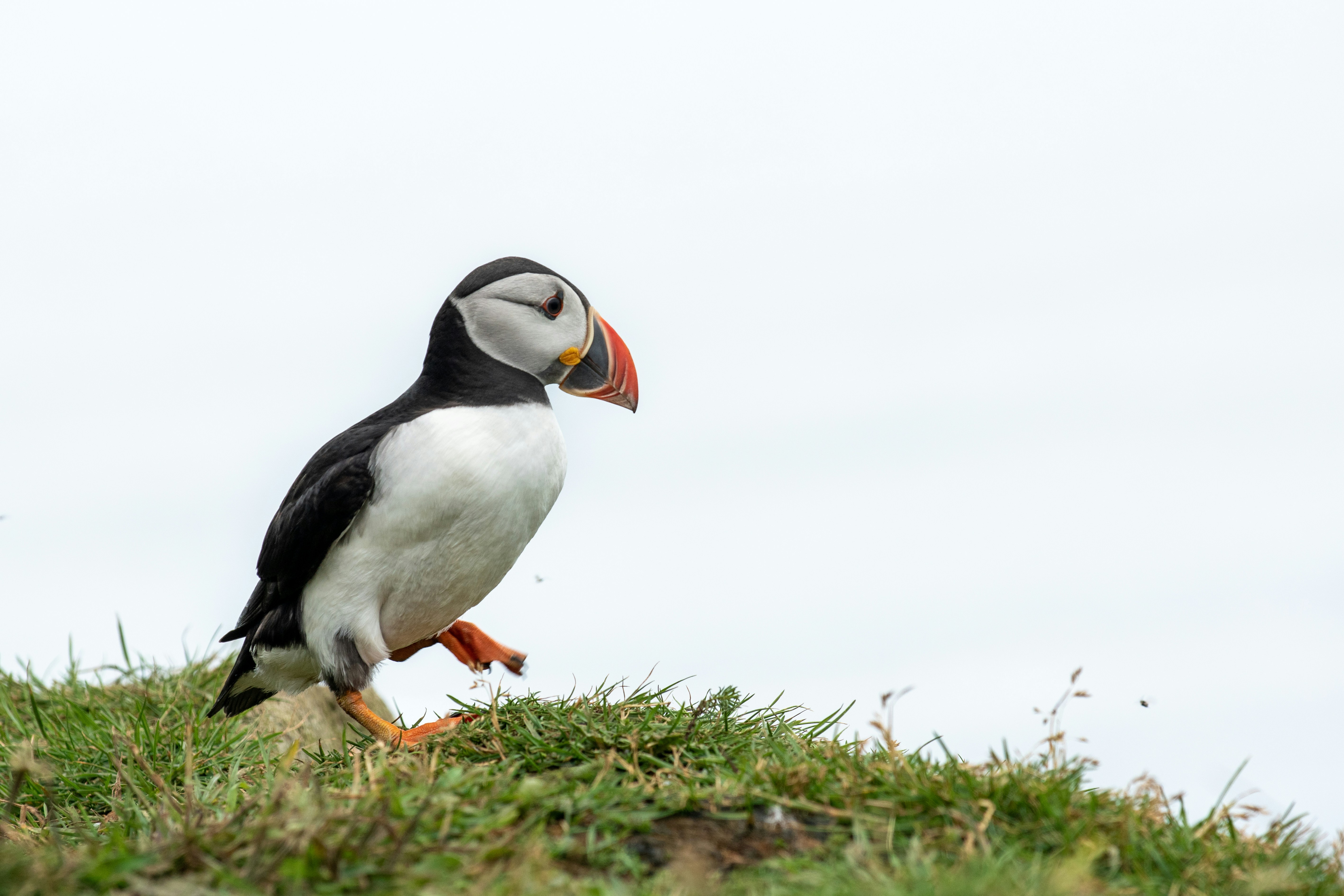 Photo by ianjsimpson