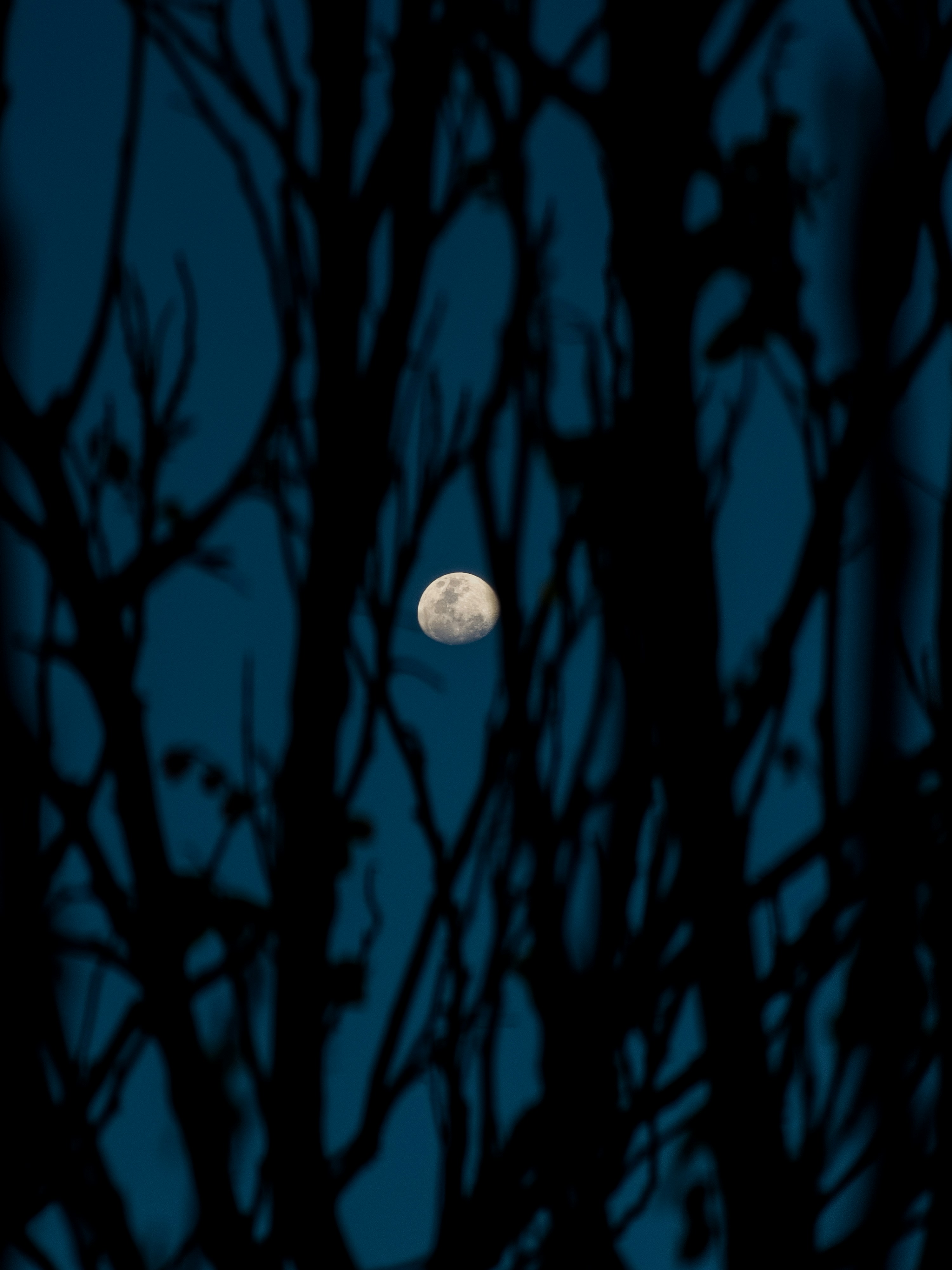 Photo by matheuskprot