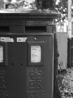 A vintage double-sided post box with 'Priority Postbox' labels and collection times displayed. The box is installed against a tree and surrounded by some fallen leaves, creating an autumnal feel. The design includes a crown and 'ER Royal Mail' inscription.