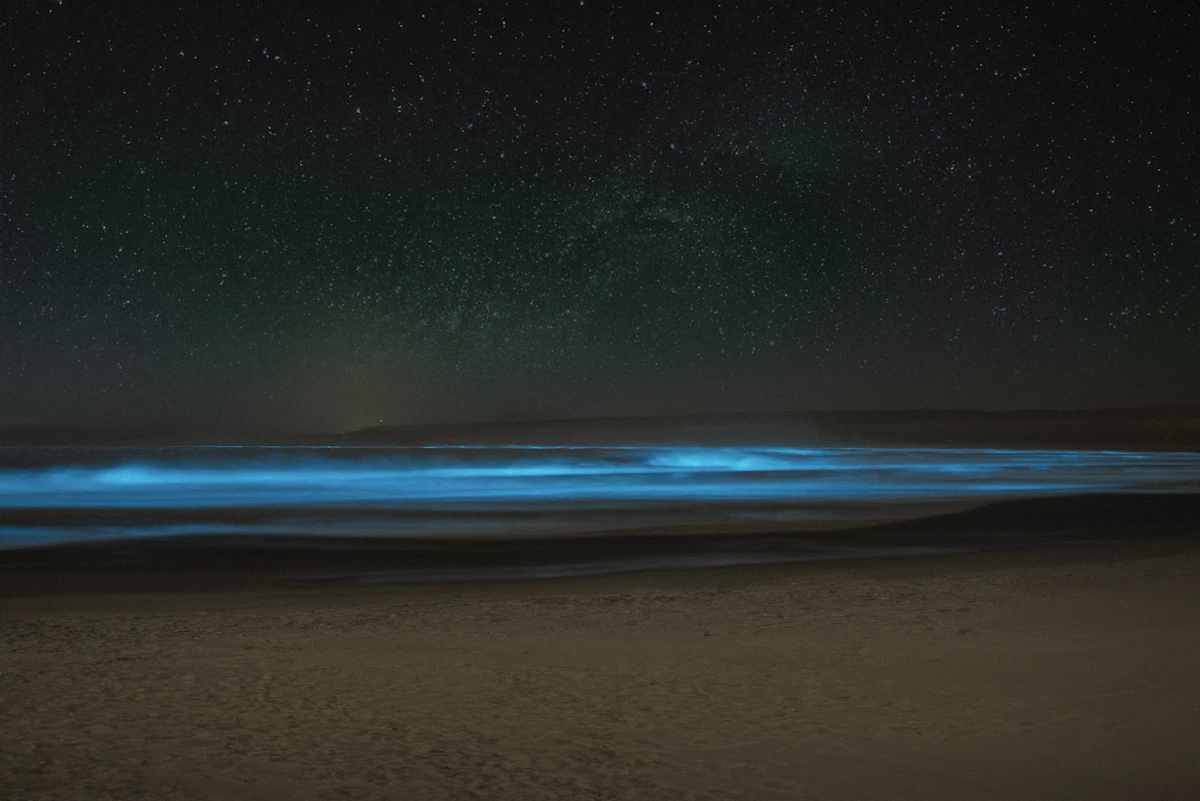 Luminous lagoon night water