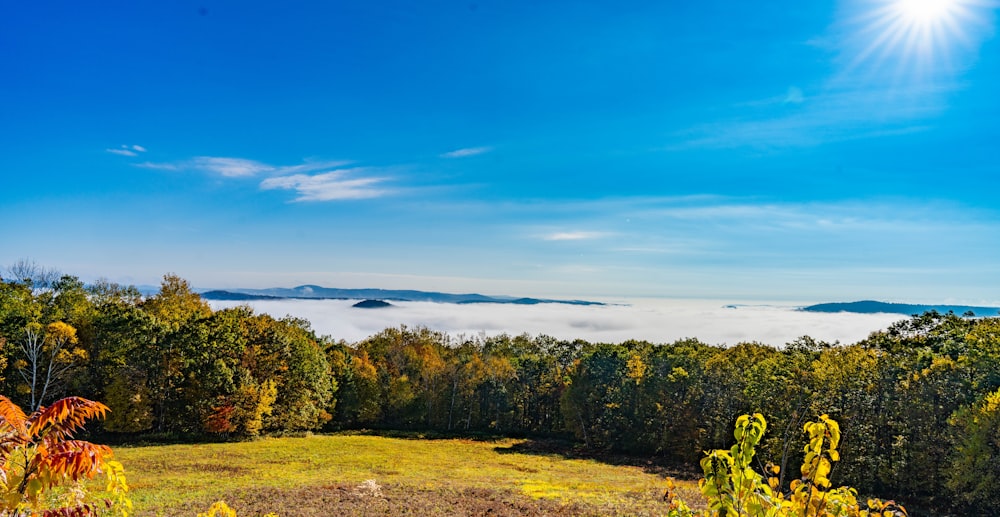 a view of a field with trees and clouds in the background