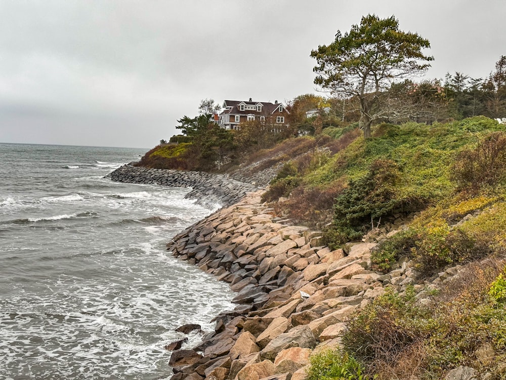 a large body of water next to a rocky shore