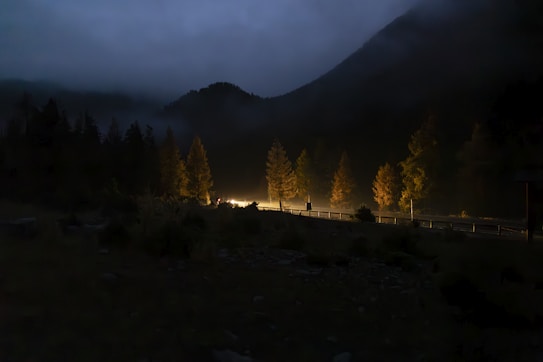 A dark, misty landscape with a winding road illuminated by headlights. Tall trees line the road, with their tops shrouded in fog. The sky is cloudy, adding to the mysterious and serene atmosphere.