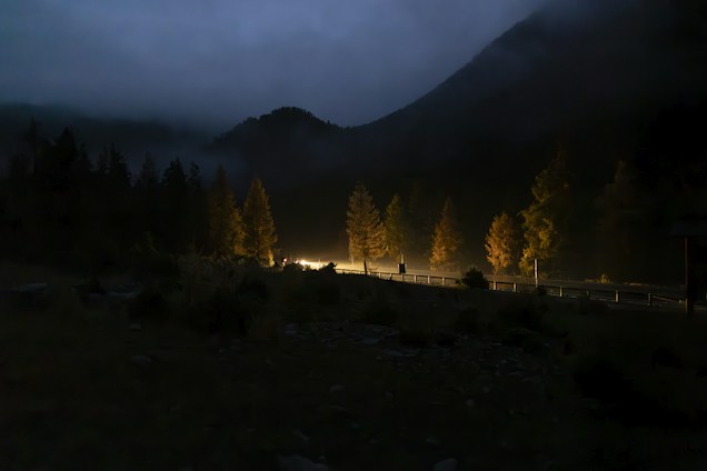 A dark, misty landscape with a winding road illuminated by headlights. Tall trees line the road, with their tops shrouded in fog. The sky is cloudy, adding to the mysterious and serene atmosphere.