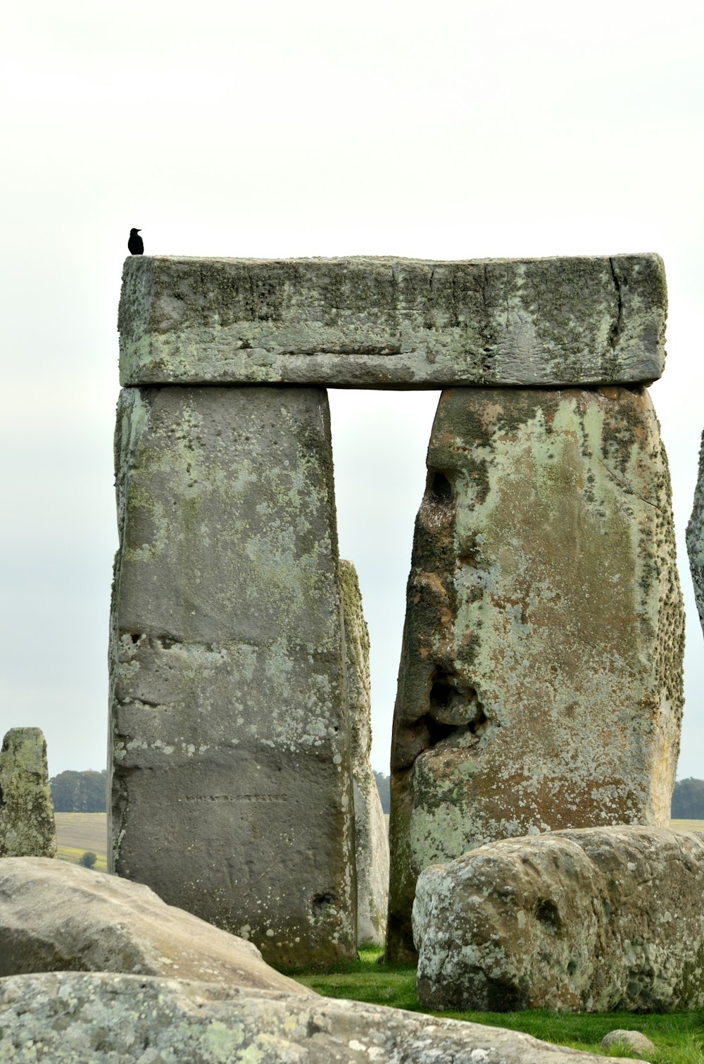 Uno Stonehenge in un campo di erba e rocce