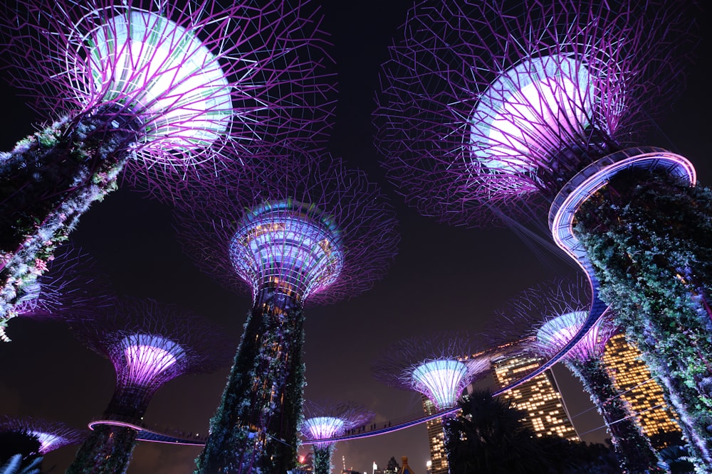 Une vue nocturne des jardins de la baie à Singapour