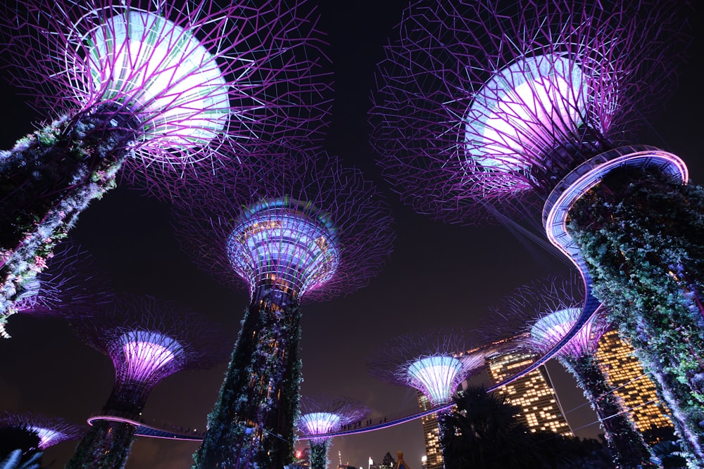 Blick bei Nacht auf die Gardens by the Bay in Singapur