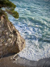 a lone tree on the edge of a cliff overlooking the ocean