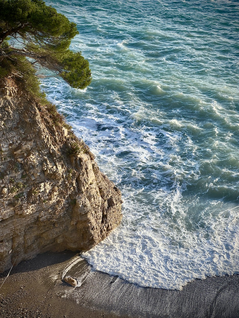 a lone tree on the edge of a cliff overlooking the ocean