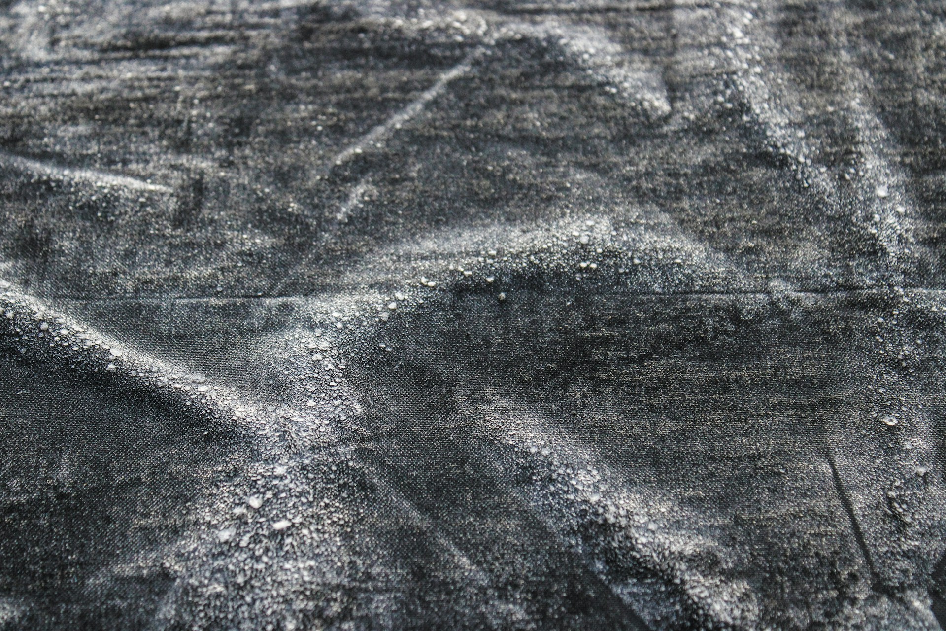 woman holding dried flower