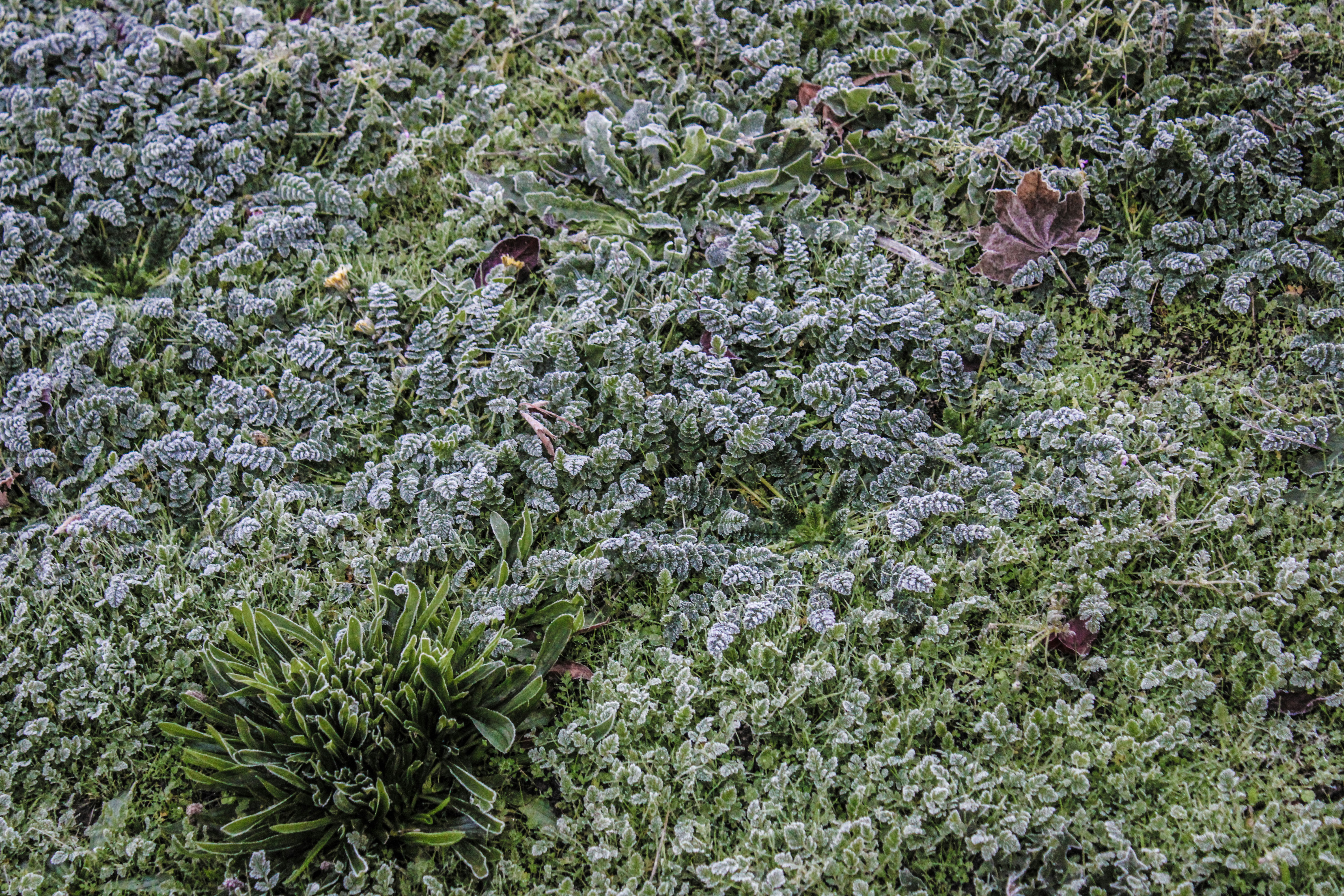 Photo by prphotography262