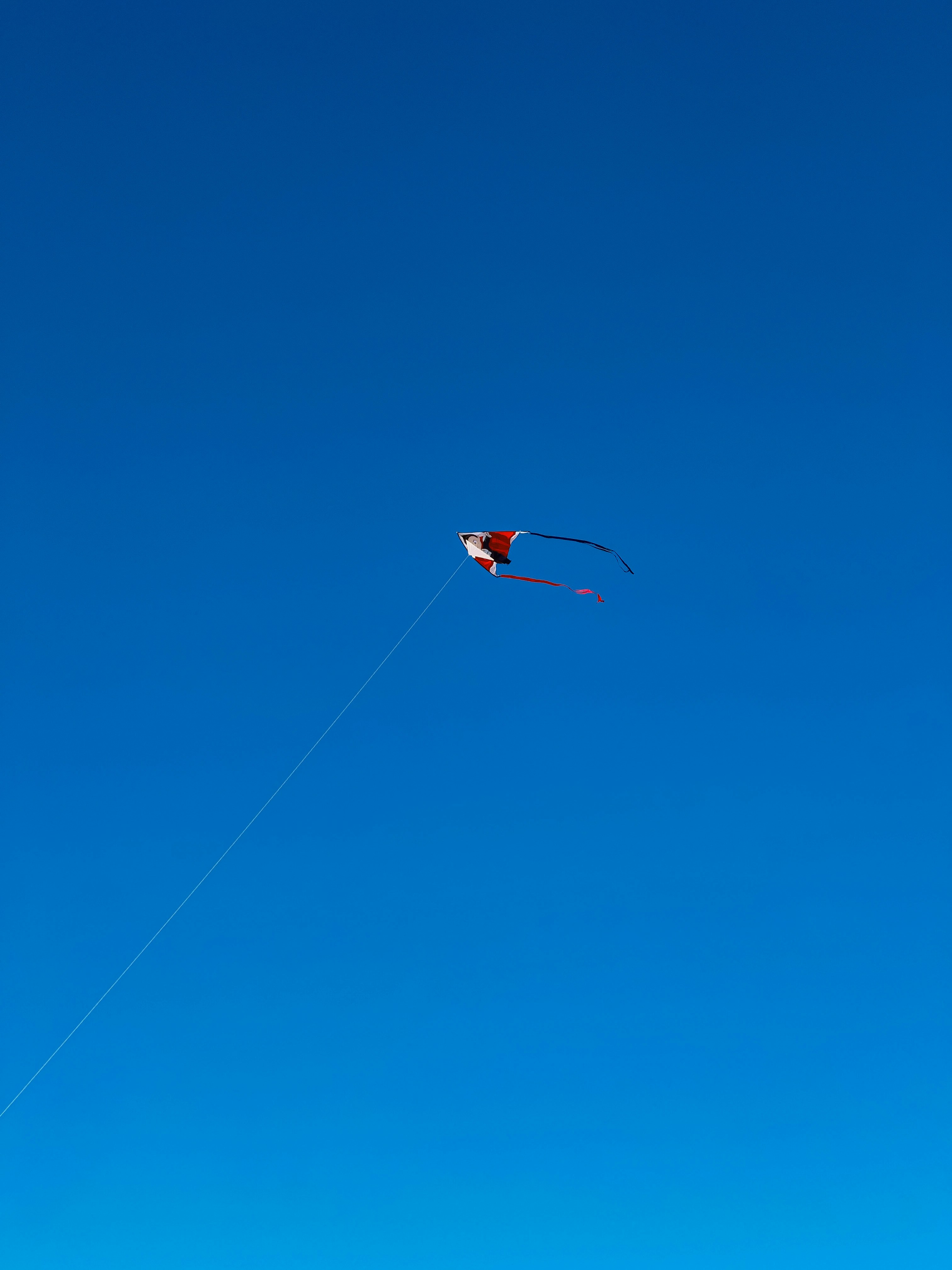 Photo by shojolislam