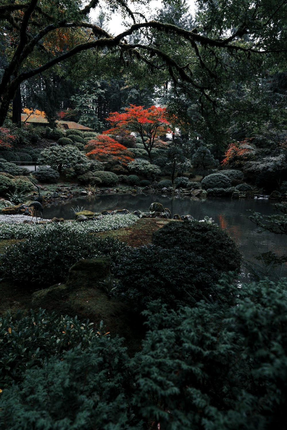 a lush green forest filled with lots of trees