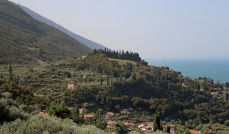 A serene landscape showcasing lush greenery and a peaceful travel destination.