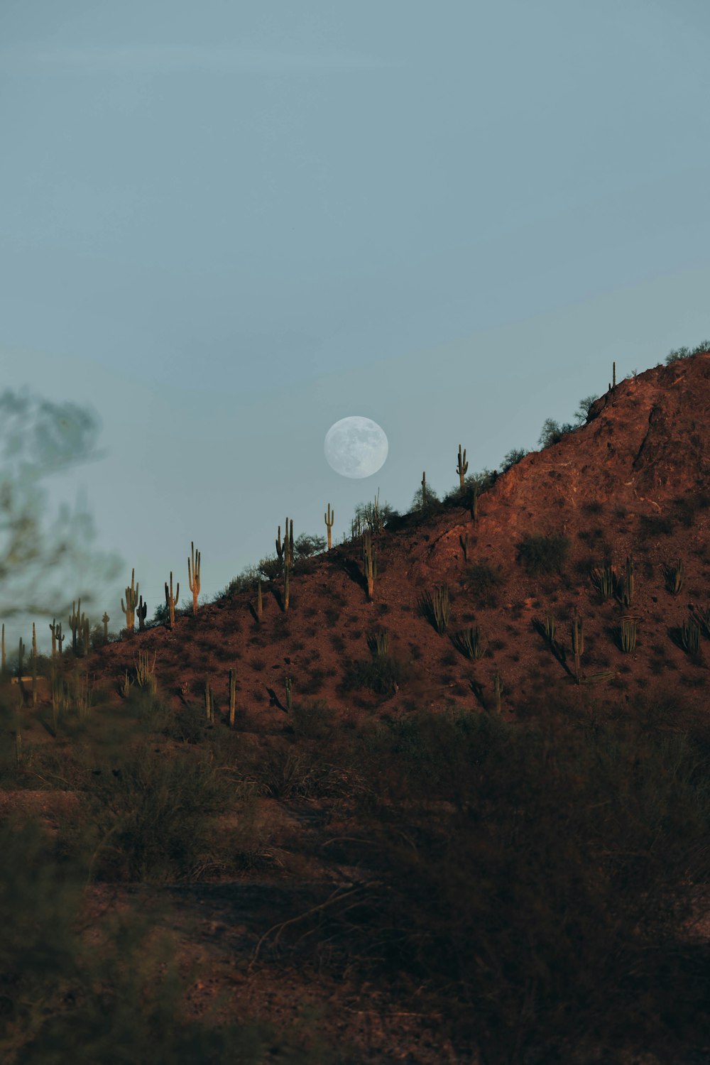 a hill with a full moon in the distance