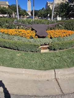 A landscape feature with a metallic sculpture of a longhorn set amidst vibrant orange flowers. The greenery in the background includes shrubs and trees, and there is a tall tower visible in the distance. The setting appears to be a public or university campus area.