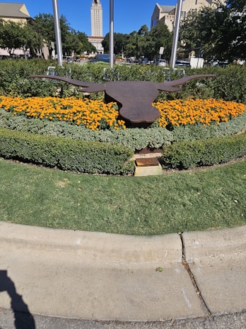 A landscape feature with a metallic sculpture of a longhorn set amidst vibrant orange flowers. The greenery in the background includes shrubs and trees, and there is a tall tower visible in the distance. The setting appears to be a public or university campus area.