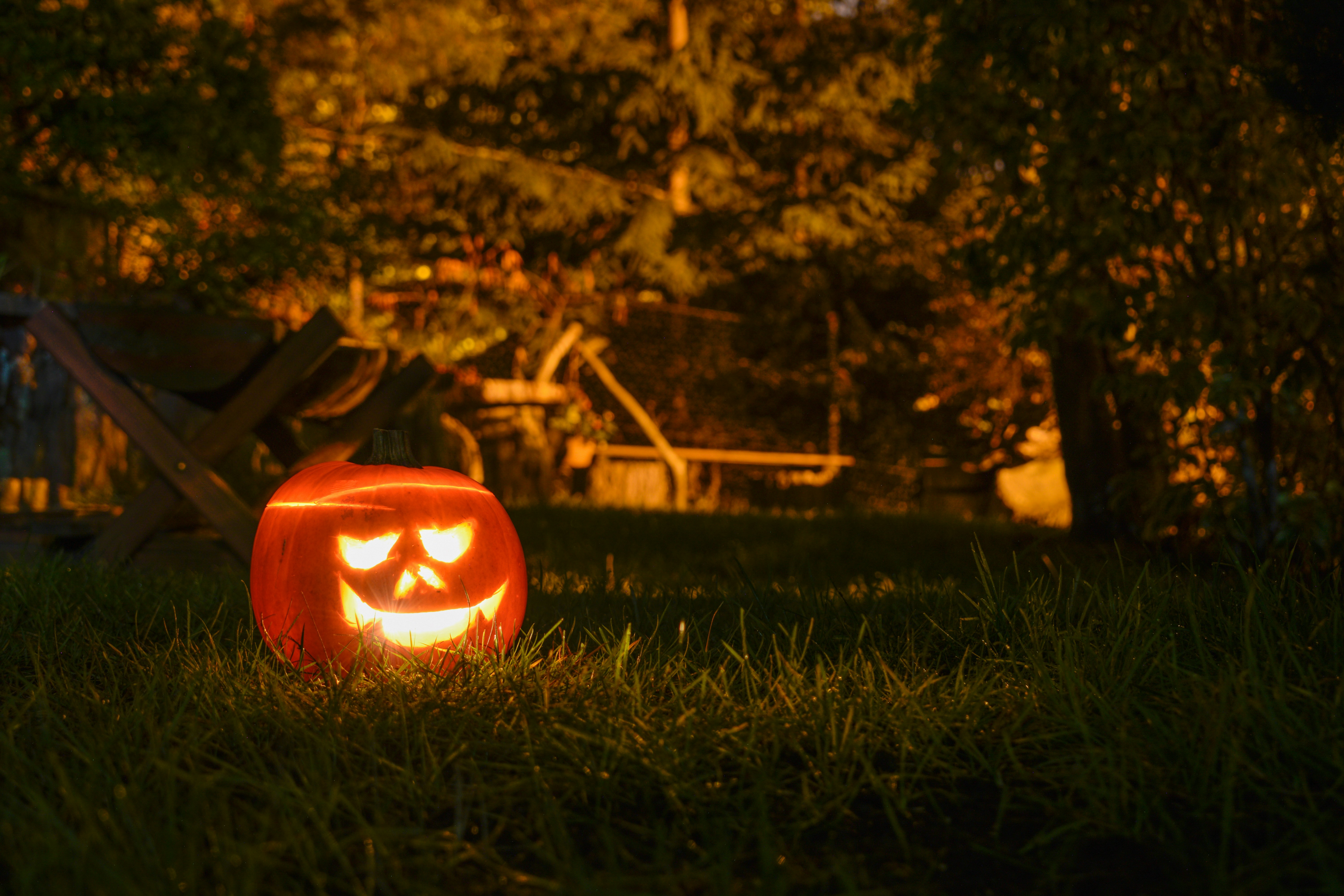 a carved pumpkin sitting on top of a lush green field
