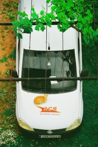 A white vehicle with a company logo on the hood has a ginger cat resting on it. Above the vehicle, green vines hang down. The surrounding ground is covered with small white flowers and greenery.