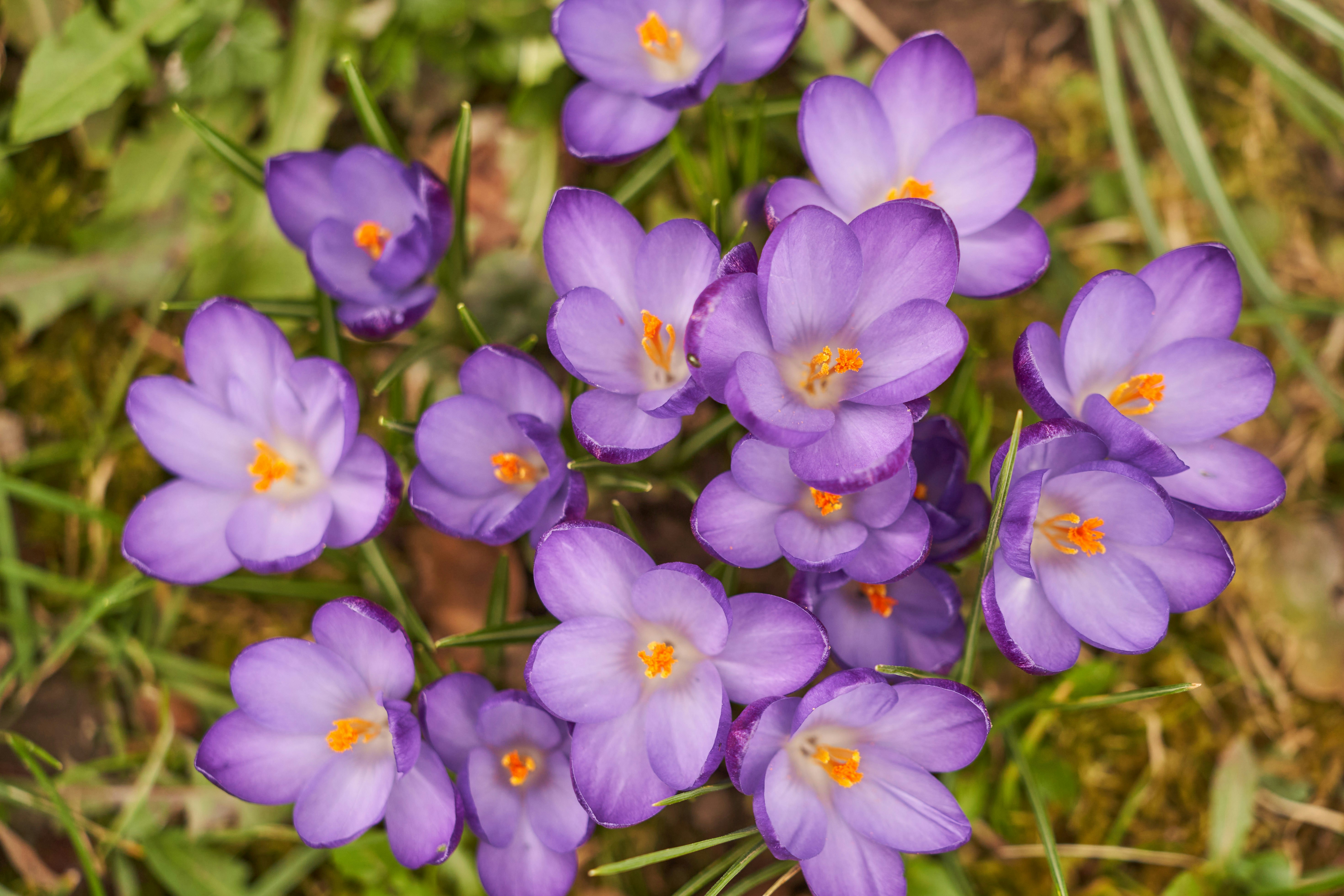 Photo by wolfgang_hasselmann