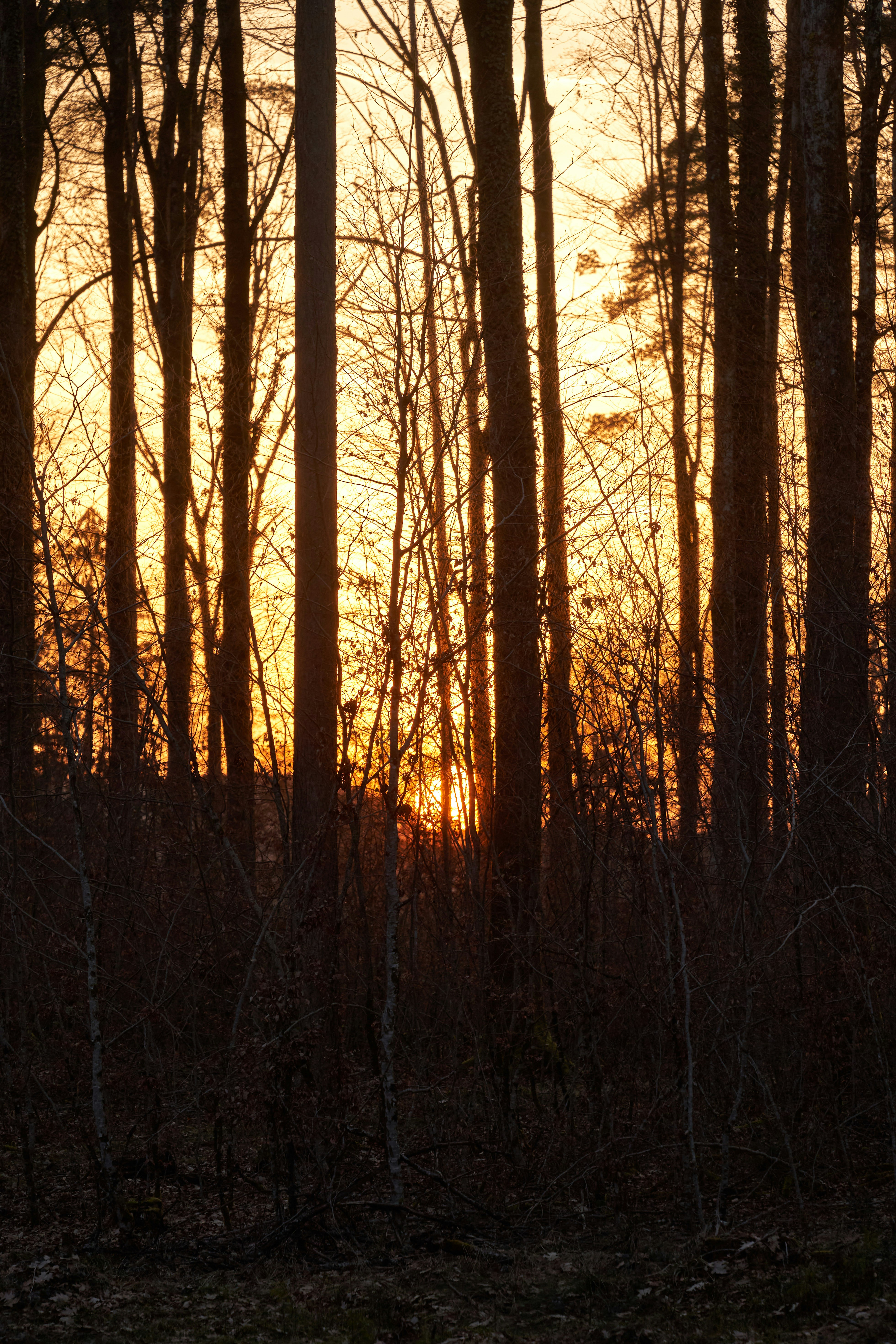 Photo by wolfgang_hasselmann